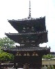 nara031108-038_thumb.jpg